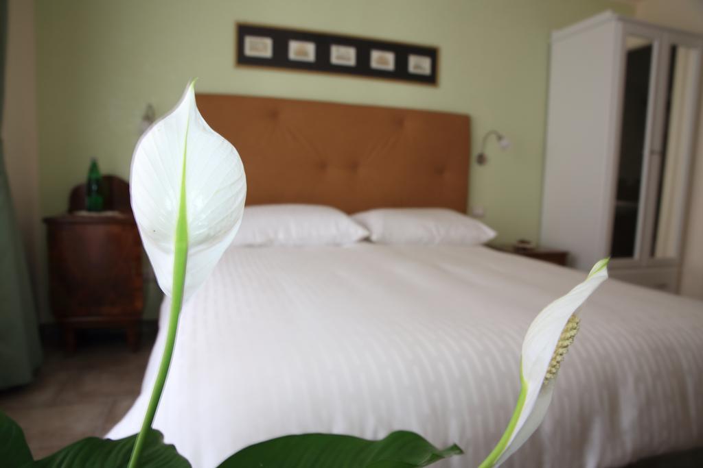 Anice Guesthouse โรม ภายนอก รูปภาพ
